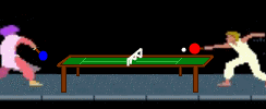 1231475030.davidn_princeoftennis.gif